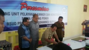 Lebu Raya Dorong RSU Prof WZ Johannes Kupang Jadi Rumah Sakit Kanker