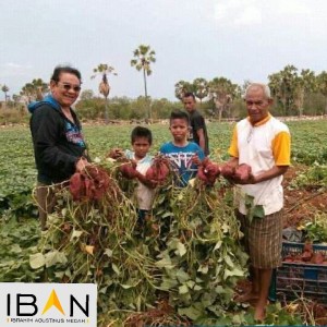 Iban Medah: Ubah Petani  Jadi Investor