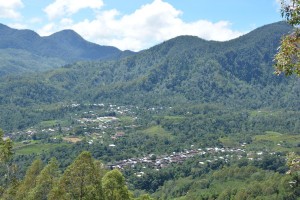 Flores Coffee hamlet Offers Unique Tourist Destination