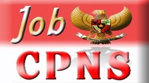 CPNS 2018 Segera Dibuka Khusus Formasi Kabupaten/Kota. Ini Berkas yang Harus Disiapkan!