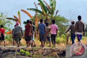 Bentrok Dua Kelompok Pemuda di Desa Oebelo, luka potong  3 Korban