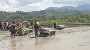 NTT Gagal Realisasikan Pencetakan Sawah Baru