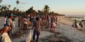 Sering Muncul di Perairan Kupang, Mamalia di Laut Sawu NTT Sedang Diteliti