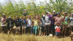 Benny Harman Launching KPS di Tengah Sawah