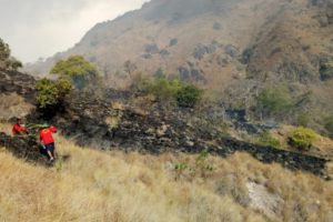 Padang Rumput di Pulau Komodo Terbakar. Ini Kronologisnya