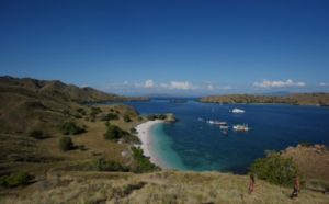 10 Hektar Padang Rumput Pulau Komodo Terbakar