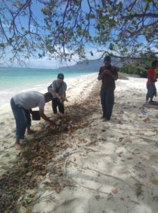 Peserta Rakor Perpustakaan Bersihkan Sampah di Pantai Pangabatan Maumere