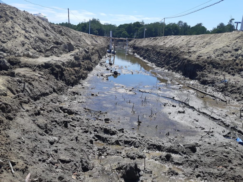 Ben Tenti klaim Mangrove 6 Hektar di Lembata Miliknya