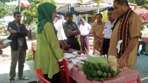 Bupati Hadjon Dorong Desa Terus Berinovasi dan Ikut Gempur Stunting