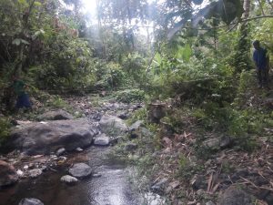 Lahan Clear, 3 Miliar  Buka Akses Jalan Masuk ke Mata Air Hone Siap Dikerjakan