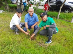 Jasa Raharja Tanam 500 Anakan Pohon