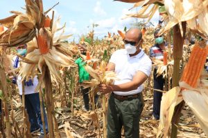 Gubernur Minta Agar Petani Yang Telah Mendapat Pendampingan, Dapat Menjadi Penyuluh Bagi Petani Lain