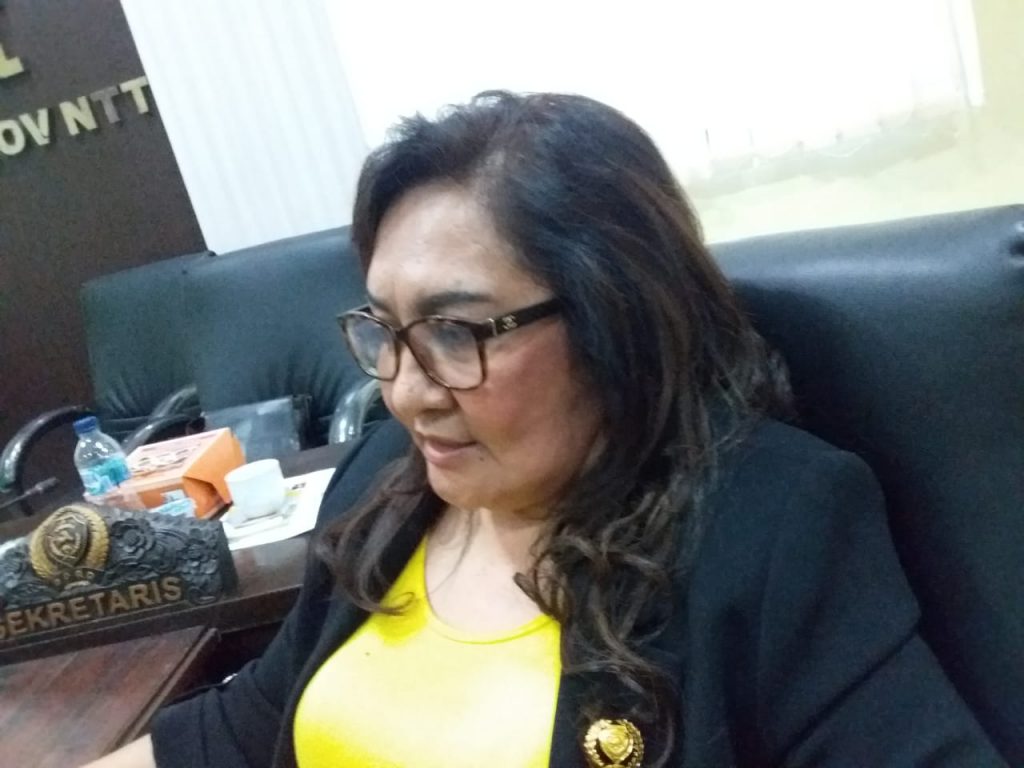 Pimpinan DPRD NTT Desak Pemprov Segera Cairkan Dana Covid-19 Rp 810 M