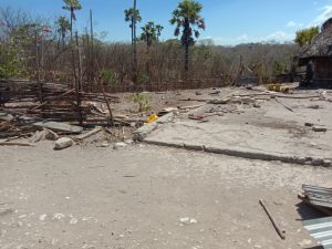 Rumah Warga Besipae Digusur, LKBH Undana dan Firma Hukum ABP Lapor Polda NTT