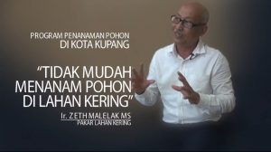 Pakar Pertanian UKAW, Rekomendasikan Tanam Pohon Bukan Anakan