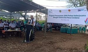 Gubernur Viktor : NTT Bakal Jadi Provinsi Penyumbang Energi Baru Terbarukan Terbesar di Indonesia