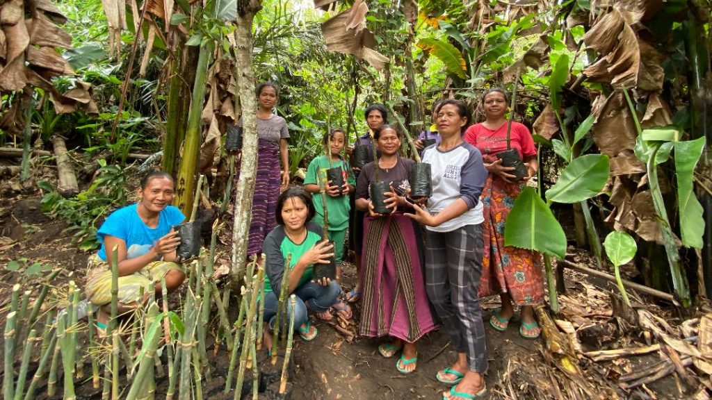 Libatkan 196 Perempuan NTT, YBL Laksanakan Penghijauan Pelestarian Bambu