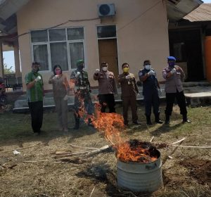 Tidak Penuhi Persyaratan Karantina, 15 Ekor Ayam dari Bima di Musnah