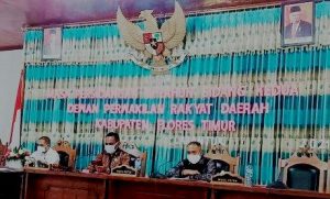 DPRD Flores Timur Minta Pemerintah Segera Ambil Langkah Inovatif Capai Target PAD