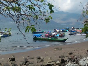 Serunya Berburu Ikan Tuna di Laut Flotim-Ile Bura