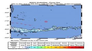 Gempa Susulan Kembali Guncang Flores