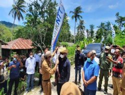 Gubernur NTT Kunjungi Rumah Produksi Marungga Organik di Bumdes Kufeu M’Rian Malaka