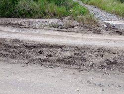 Dinas PUPR Manggarai Timur Biarkan Material Limpur Menggumpal di Jalur Menuju Kantor Bupati