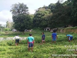 PADMA Indonesia Desak Kapolda NTT Atensi Kapolres SBD Pastikan Nasib Perkara Agrowisata Waikelo