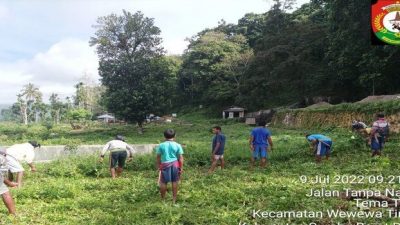 PADMA Indonesia Desak Kapolda NTT Atensi Kapolres SBD Pastikan Nasib Perkara Agrowisata Waikelo