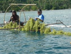 Pemkab Sabu Raijua Tabrak Pergub 39, Kadis KP NTT Beri Teguran Keras 