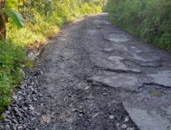 Baru Seumur Jagung Ruas Jalan Benteng Jawa Sudah Mulai Rusak