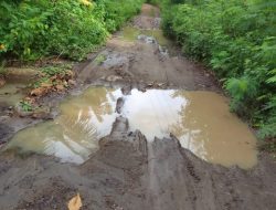 DPRD Lembata Minta Jalan Belang Labanobol Pubokol 7 Kilometer Jadi Prioritas Usulan Inpres