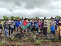 Warga Desa Kota Kawau Sumba Timur Gotong Royong Basmi Hama Belalang Kumbara