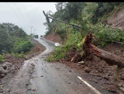 Ruas Jalan Dangka Mangkang-Watu Nggong Nyaris Tertimbun Longsor