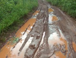 Warga Sambut Gembira Jalan Inpres Watokobu-Labanobol-Paubokol Lembata