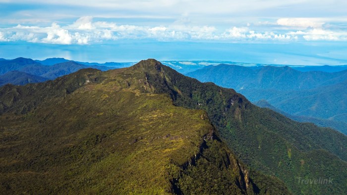 Gunung leuser aceh travelinkmagz sumatera pendakian sesungguhnya petualangan belantara