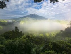 Berkunjung ke Taman Nasional Gunung Leuser, Aceh Petualangan di Hutan Hujan Tropis