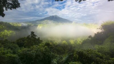 Leuser gunung