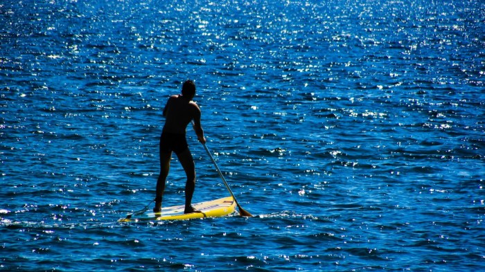 Sport water board paddleboarding paddling paddleboard surfer recreation sailing sea paddle sports surfing wave boardsport windsurfing surfboard boating wind extreme