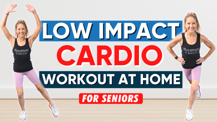 Impact low seniors workout