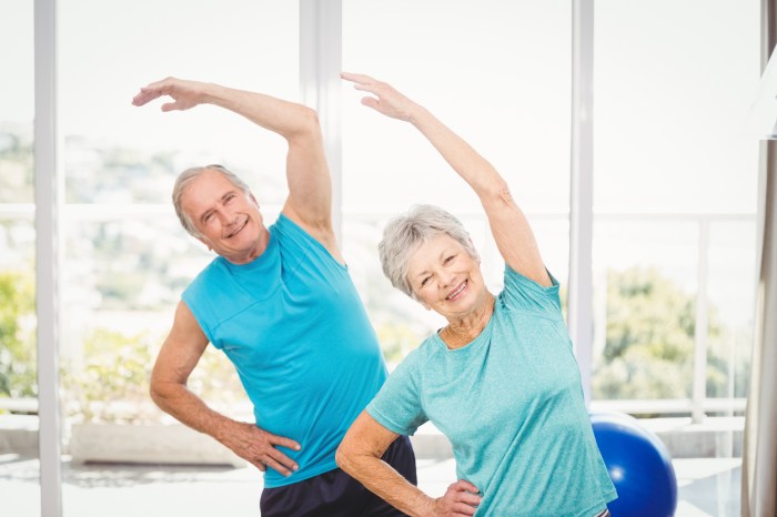 Seniors senior exercises active impact low exercise exercising couple aging should mean